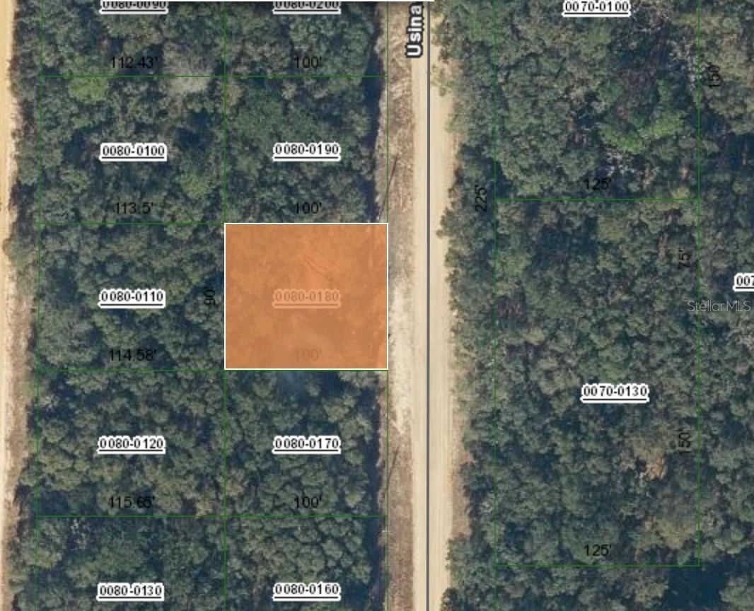 Details for 1107 Usina Avenue, INTERLACHEN, FL 32148
