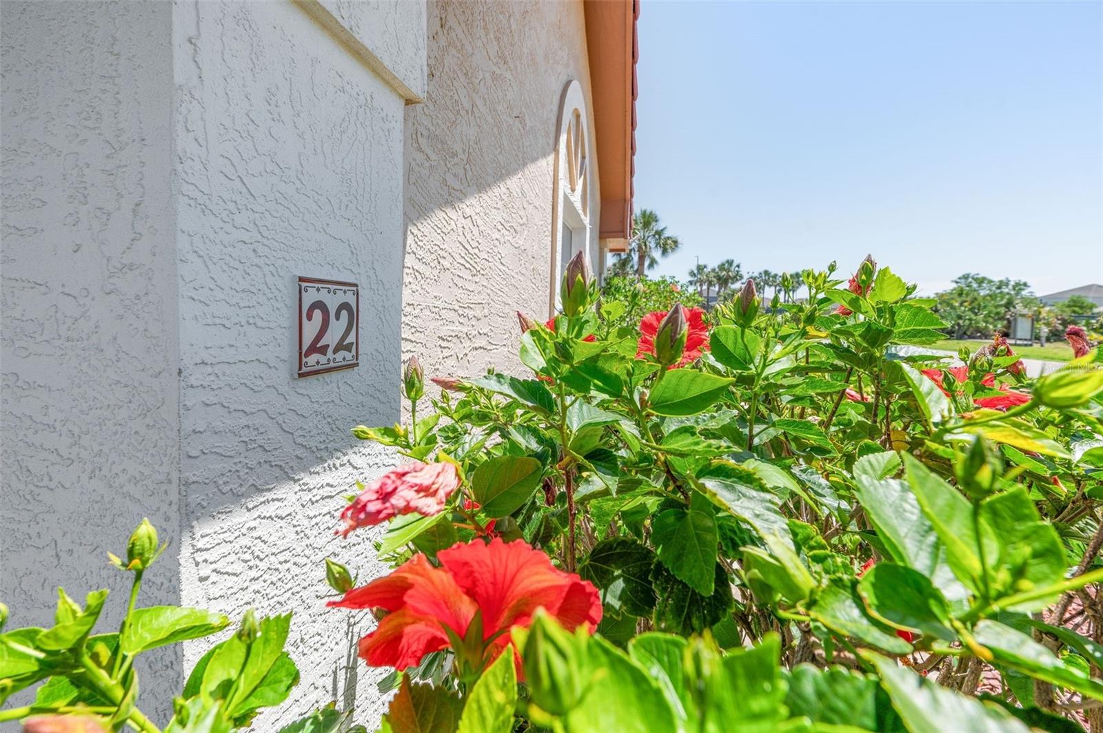 Image 15 of 92 For 22 San Carlos Drive