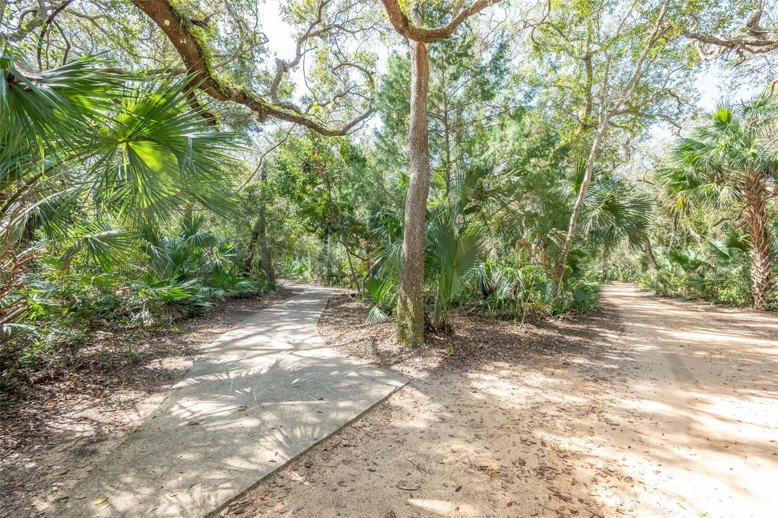 Image 53 of 92 For 22 San Carlos Drive