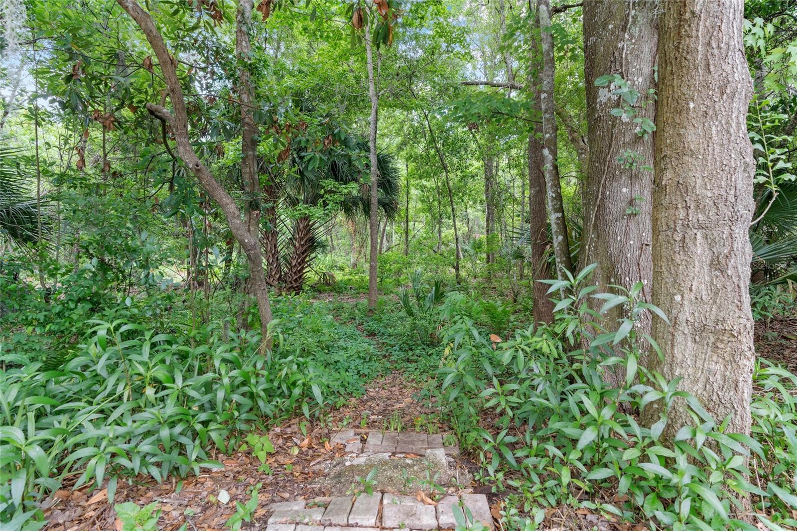 Image 17 of 28 For 810 Black Cherry Drive S