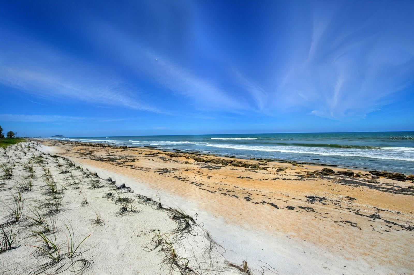 Image 39 of 49 For 7029 Ocean Shore Boulevard