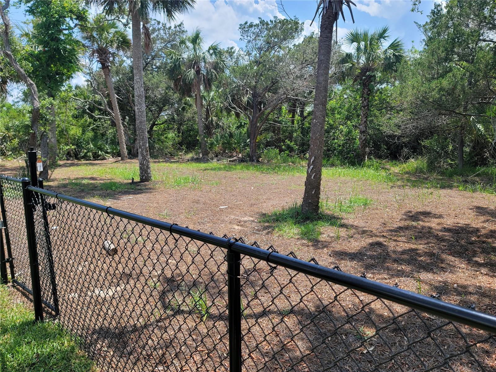 Image 81 of 100 For 807 Flagler Avenue
