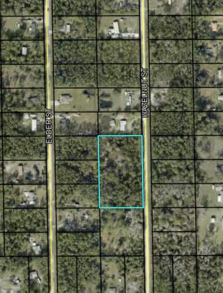 Details for 1756 Hazelnut Street, BUNNELL, FL 32110