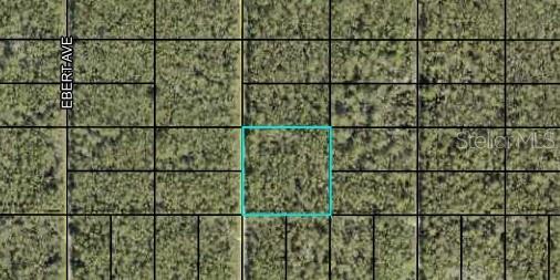 Details for 000 Dillon Avenue, HASTINGS, FL 32145