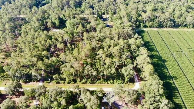 Details for 5075 Irving Street, HASTINGS, FL 32145