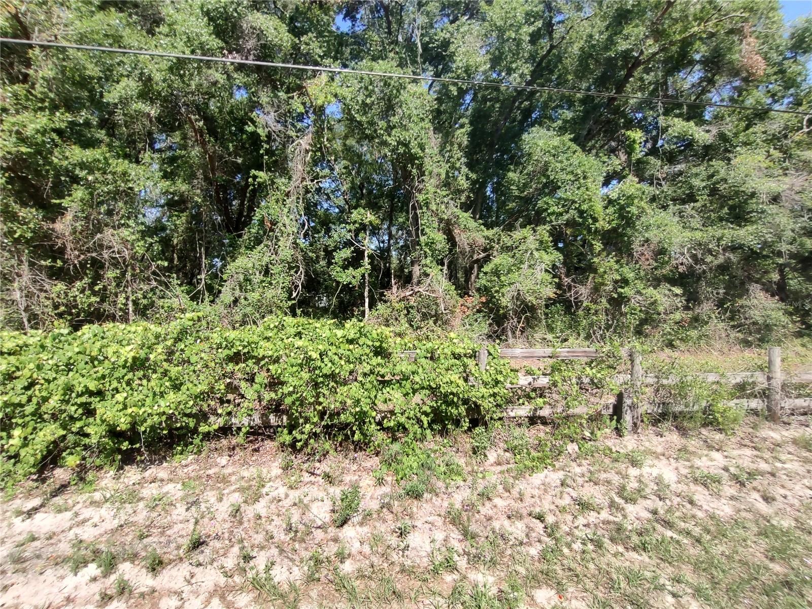 Details for 235 County Road 309, SATSUMA, FL 32189