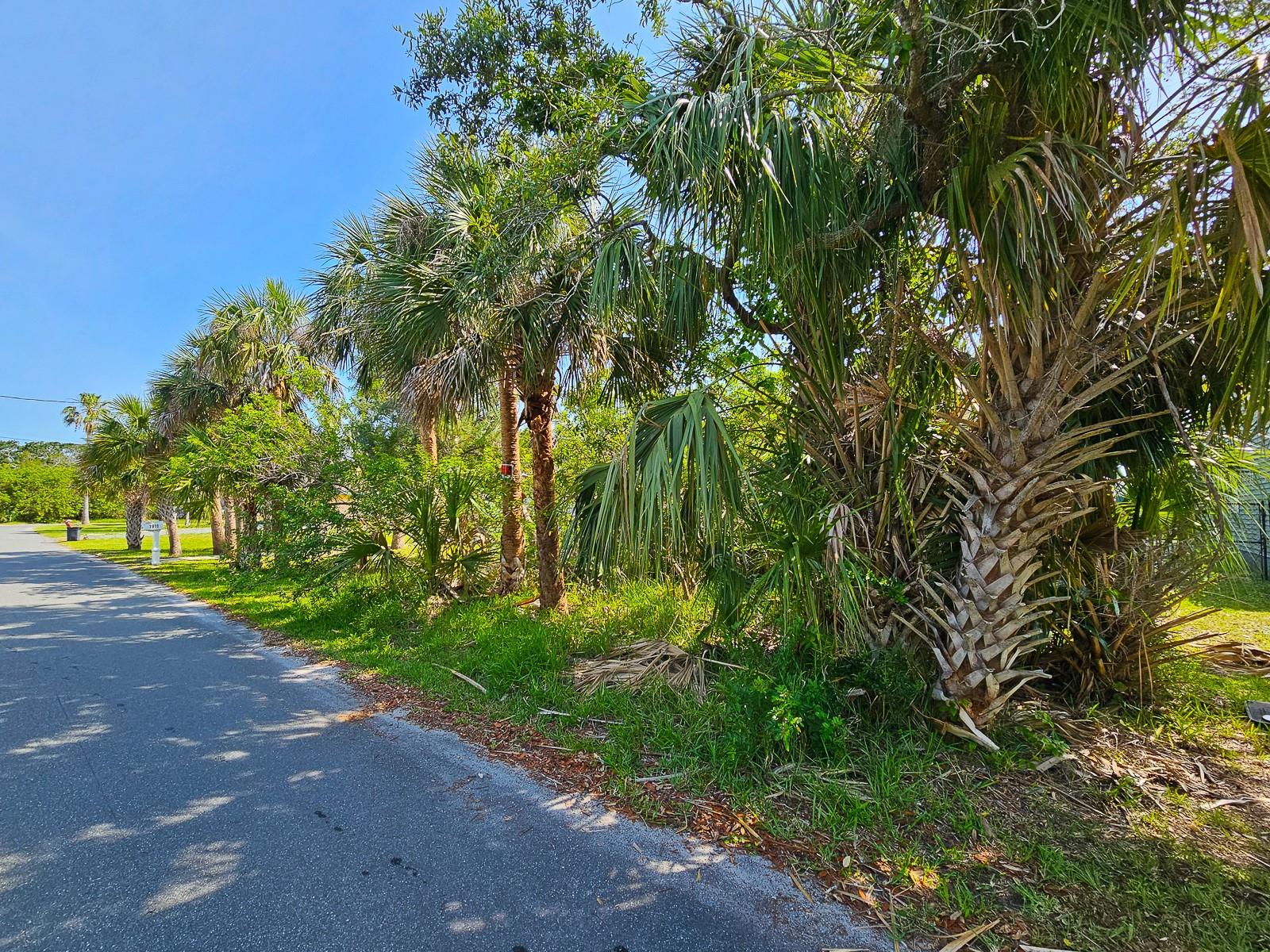 Image 11 of 17 For 1915 Palmetto Avenue