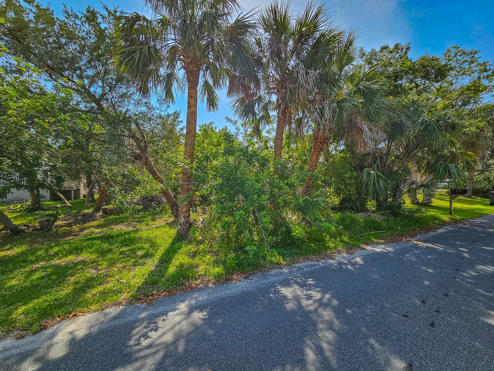 Image 12 of 17 For 1915 Palmetto Avenue
