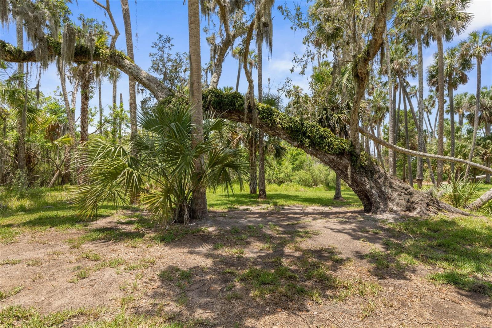 Image 65 of 79 For 1335 Lambert Avenue