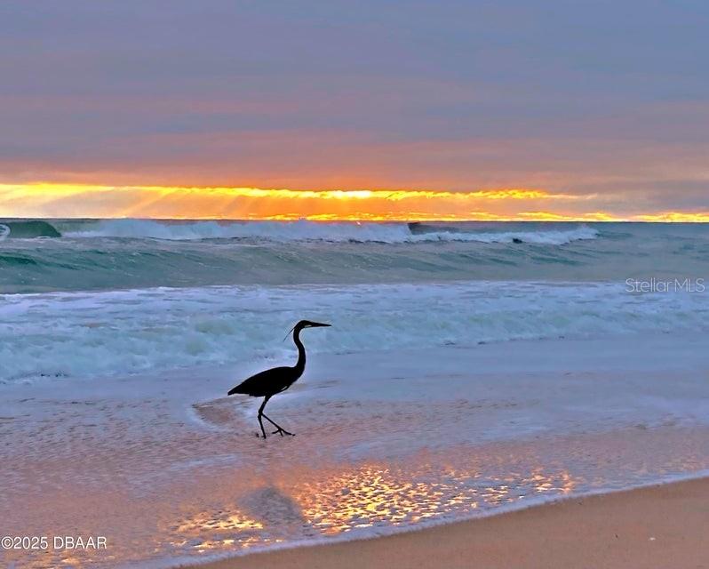 Image 48 of 52 For 13 Sunrise Avenue