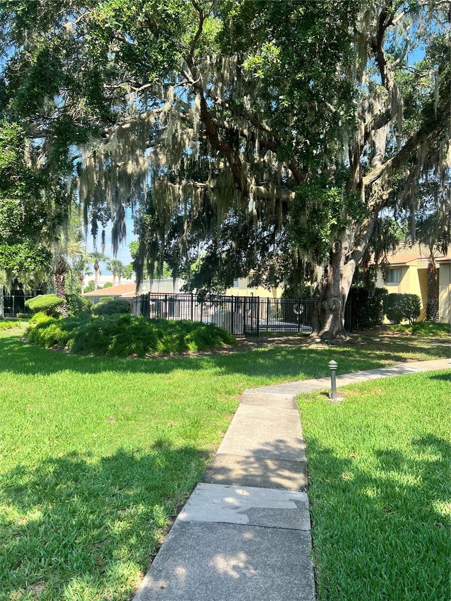 Listing photo id 0 for 310 Palm Coast Parkway Ne 101