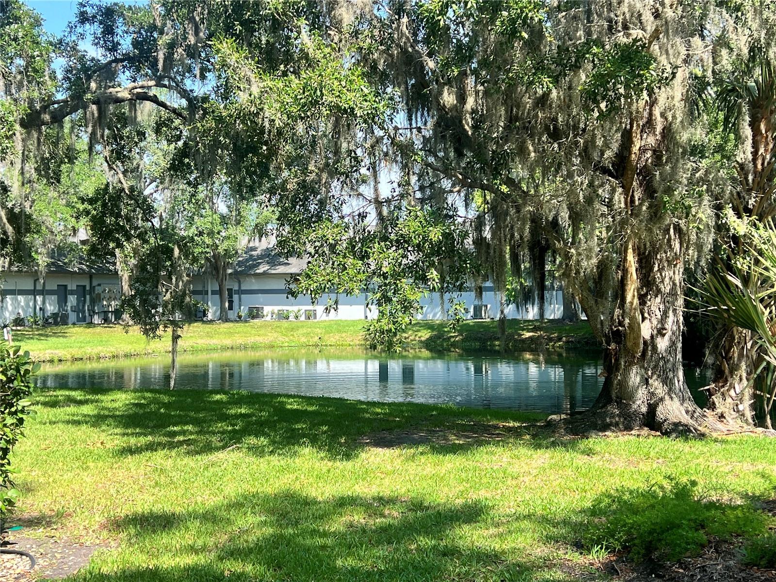 Listing photo id 21 for 310 Palm Coast Parkway Ne 101