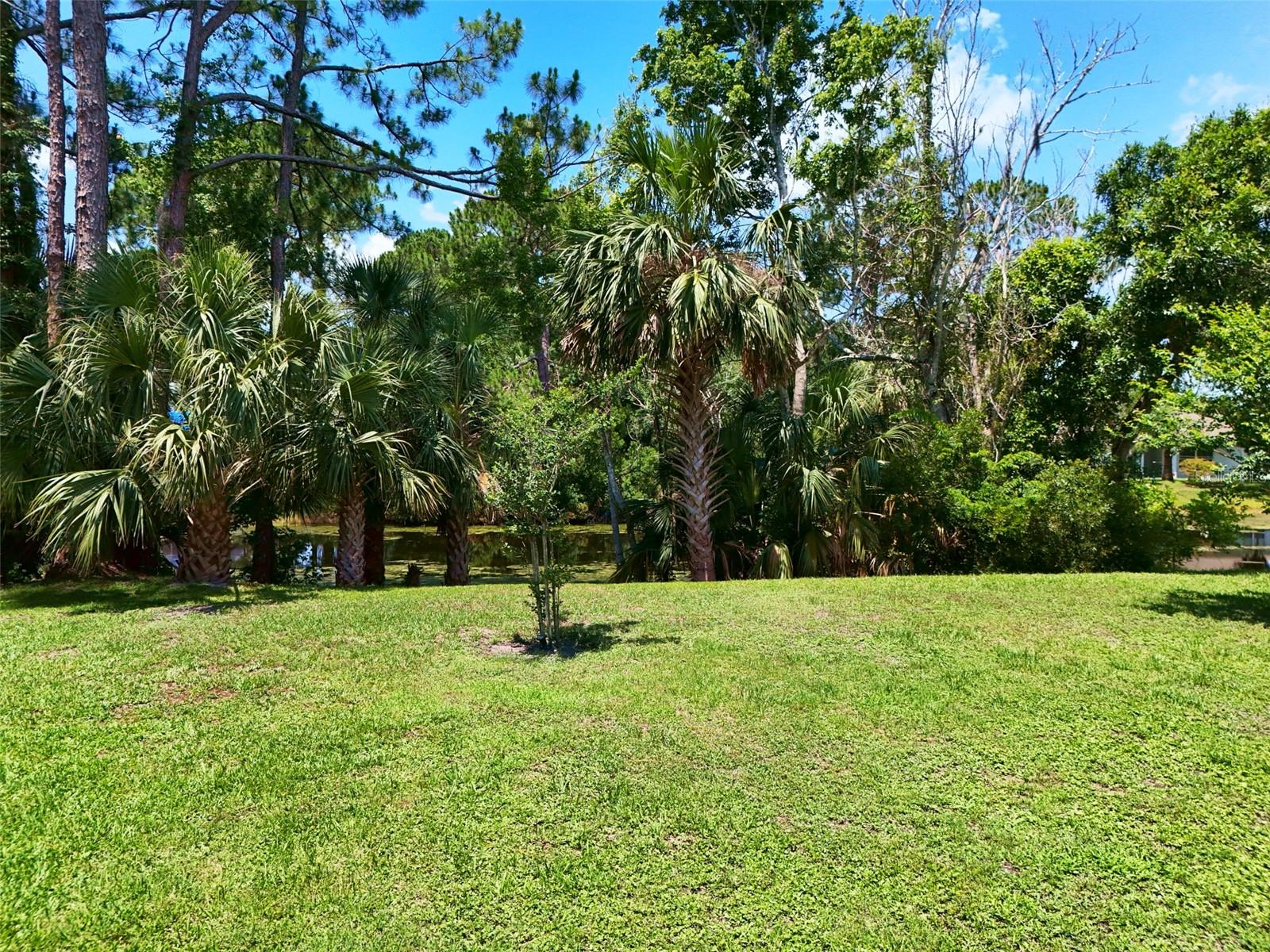 Image 31 of 40 For 217 Birchwood Drive