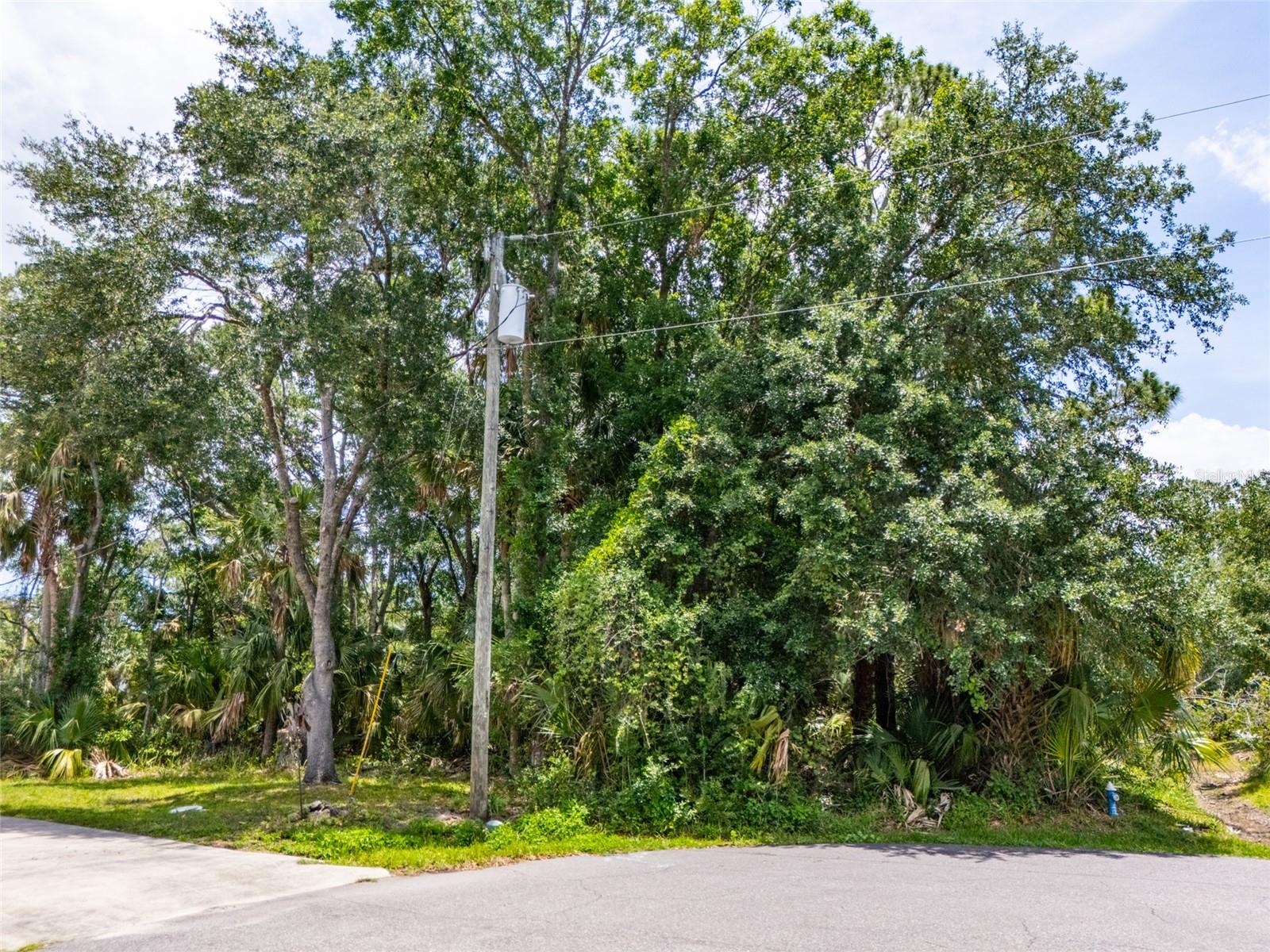 Image 13 of 20 For 16 White Hawk Place