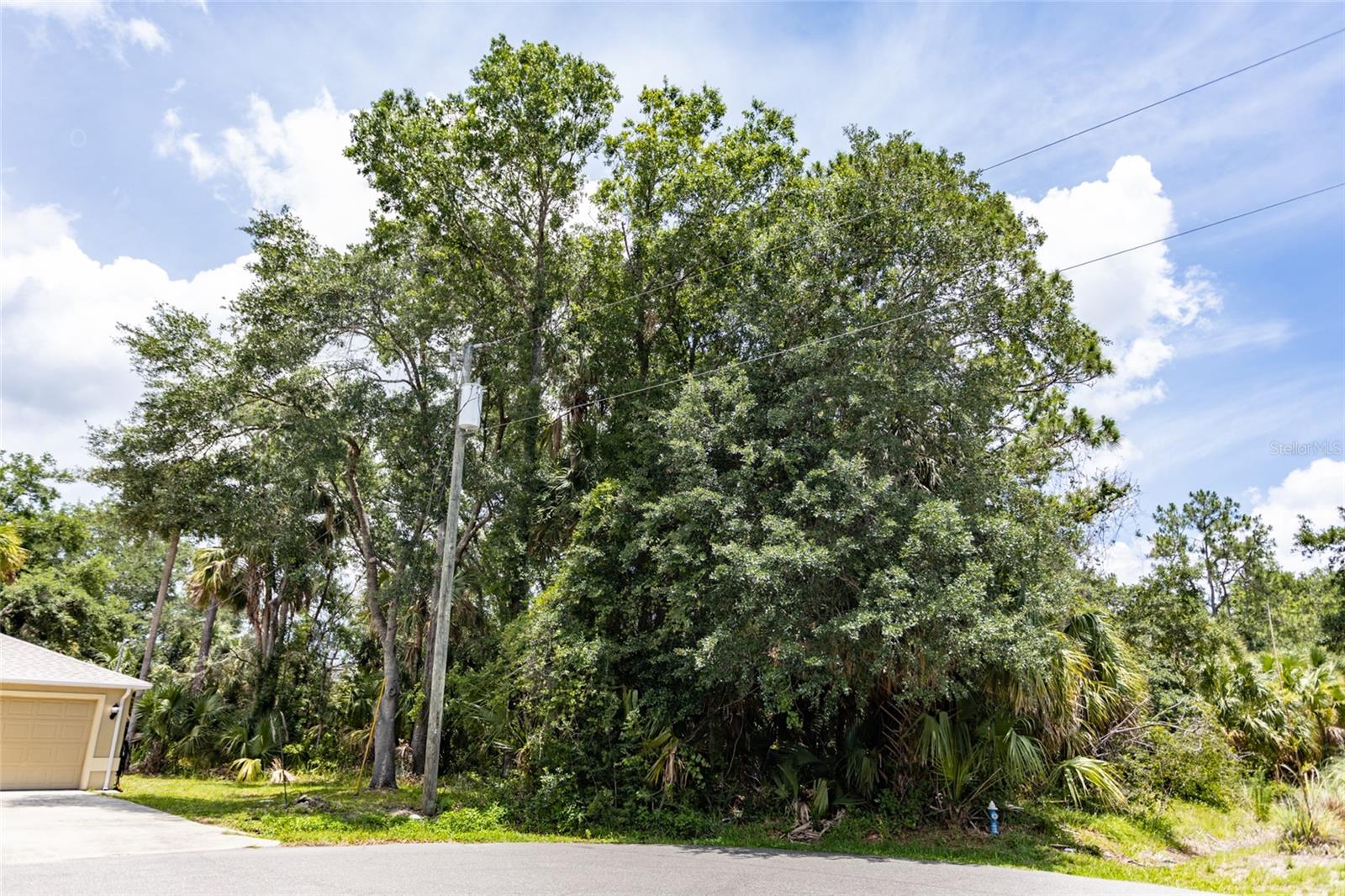 Image 4 of 20 For 16 White Hawk Place