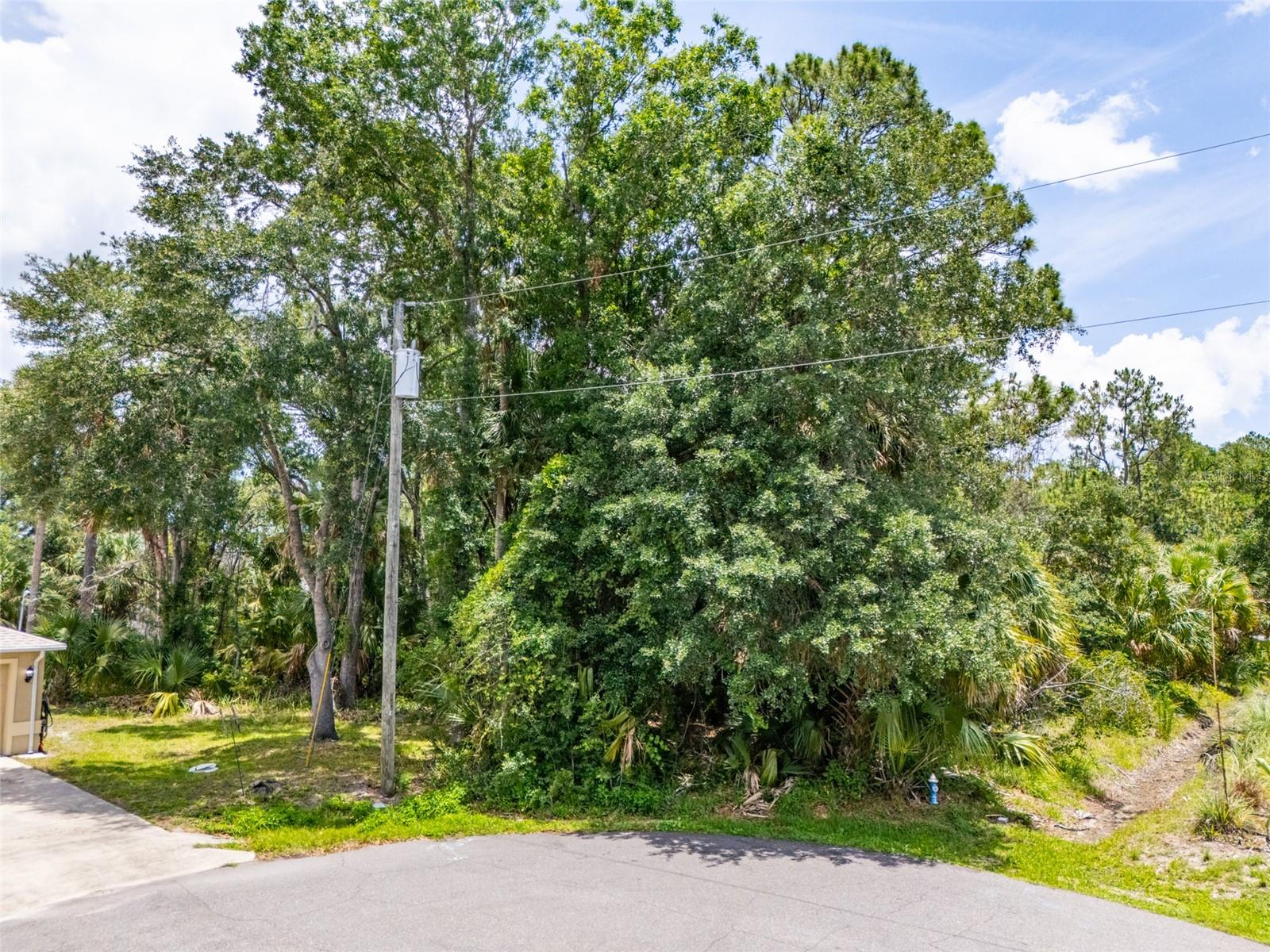 Image 5 of 20 For 16 White Hawk Place