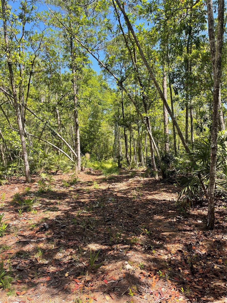 Details for 3781 Pine Pitch Court, ORMOND BEACH, FL 32174