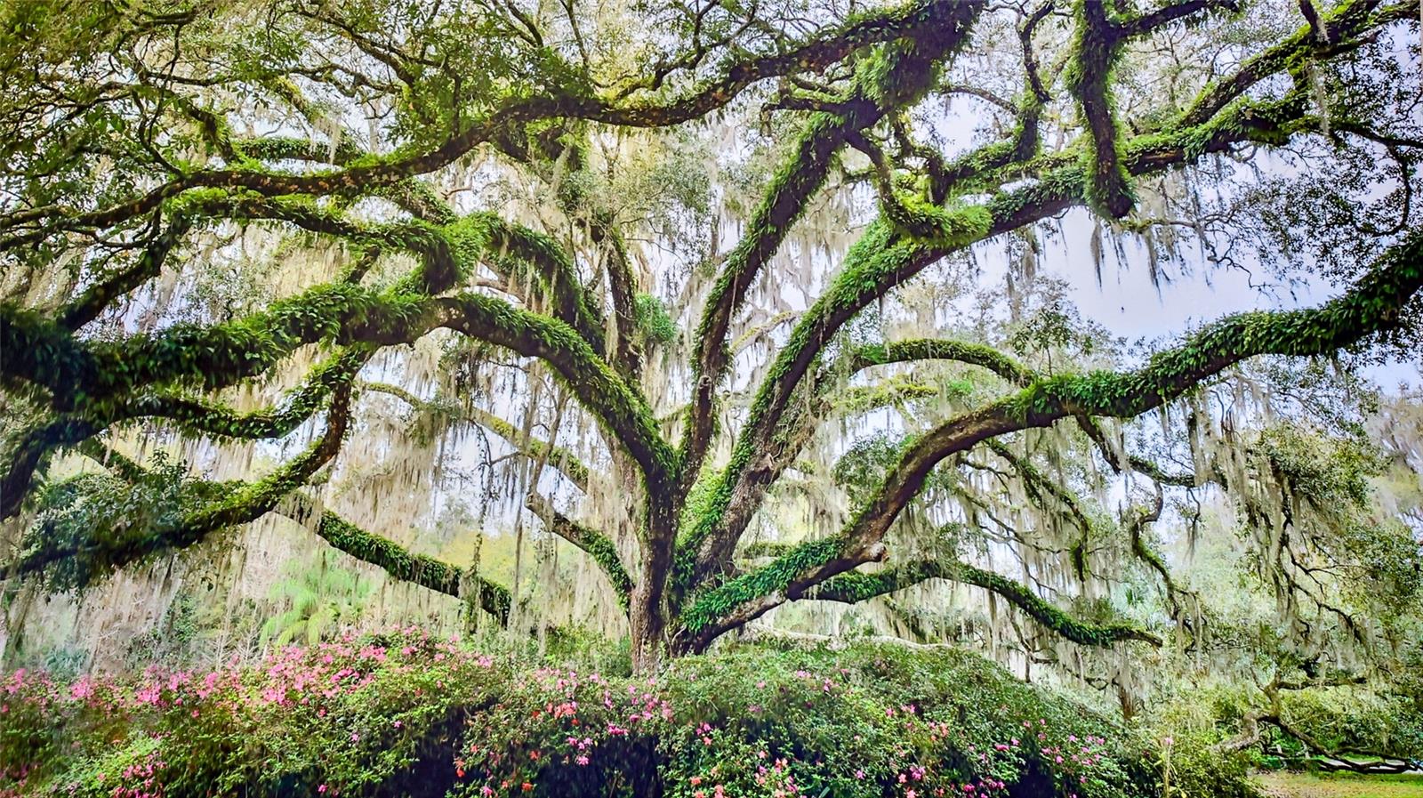 Image 30 of 48 For 1 Hammock Beach Parkway