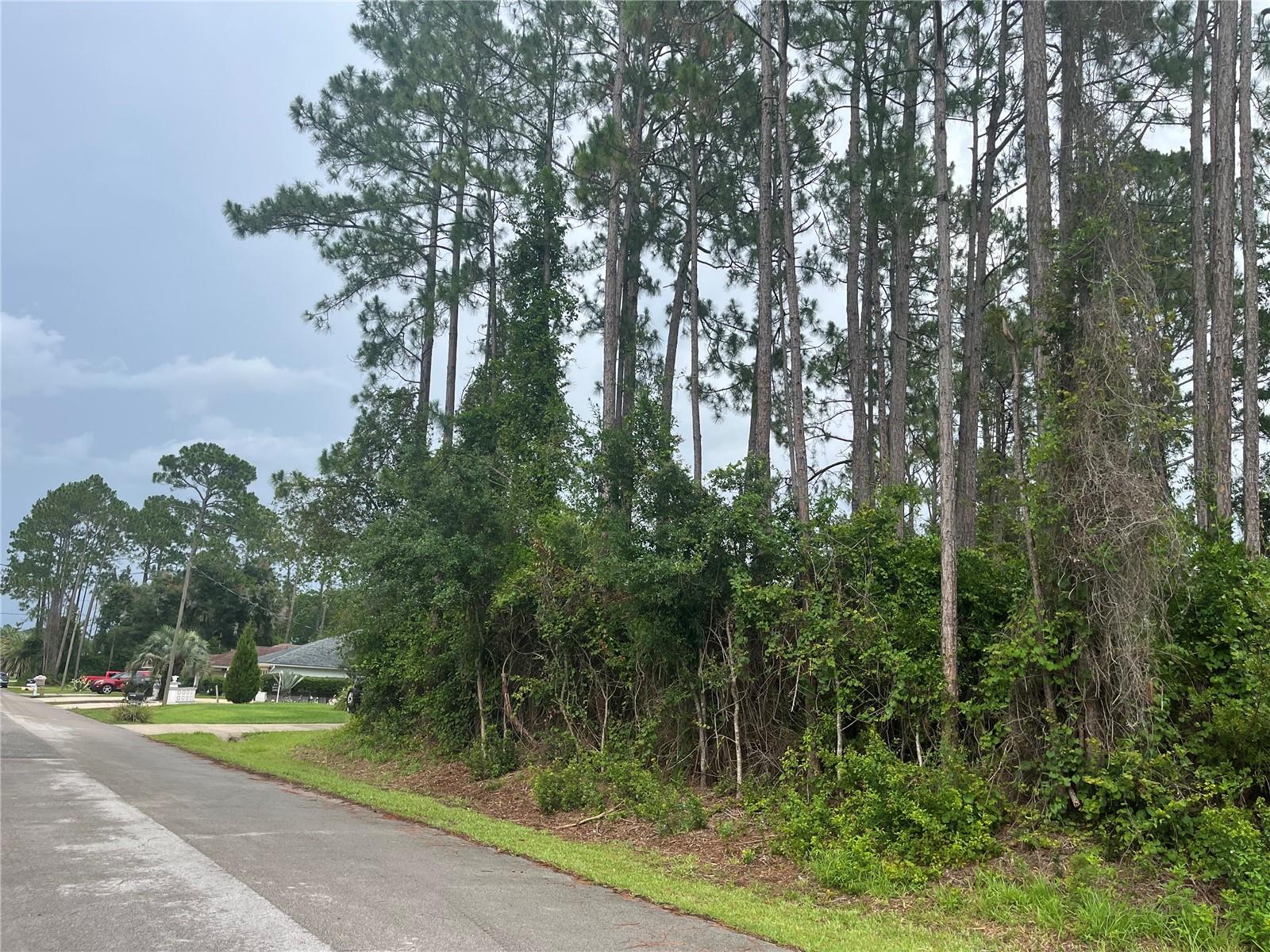 Details for 58 Brunett Lane, PALM COAST, FL 32137