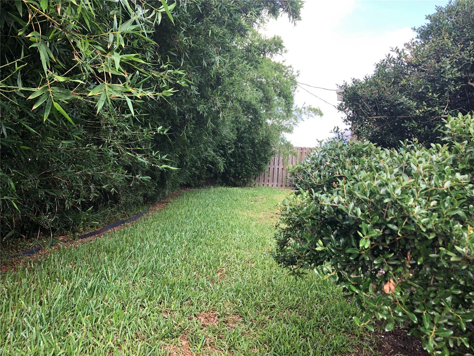 Image 27 of 36 For 33 Camellia Drive