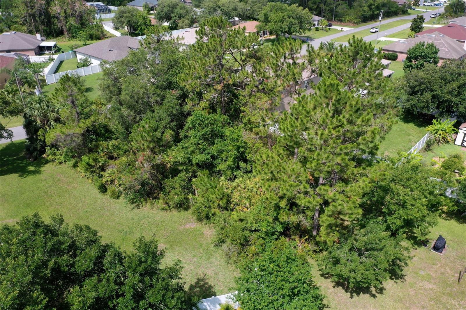 Image 5 of 37 For 4 Buffalo Plains Lane