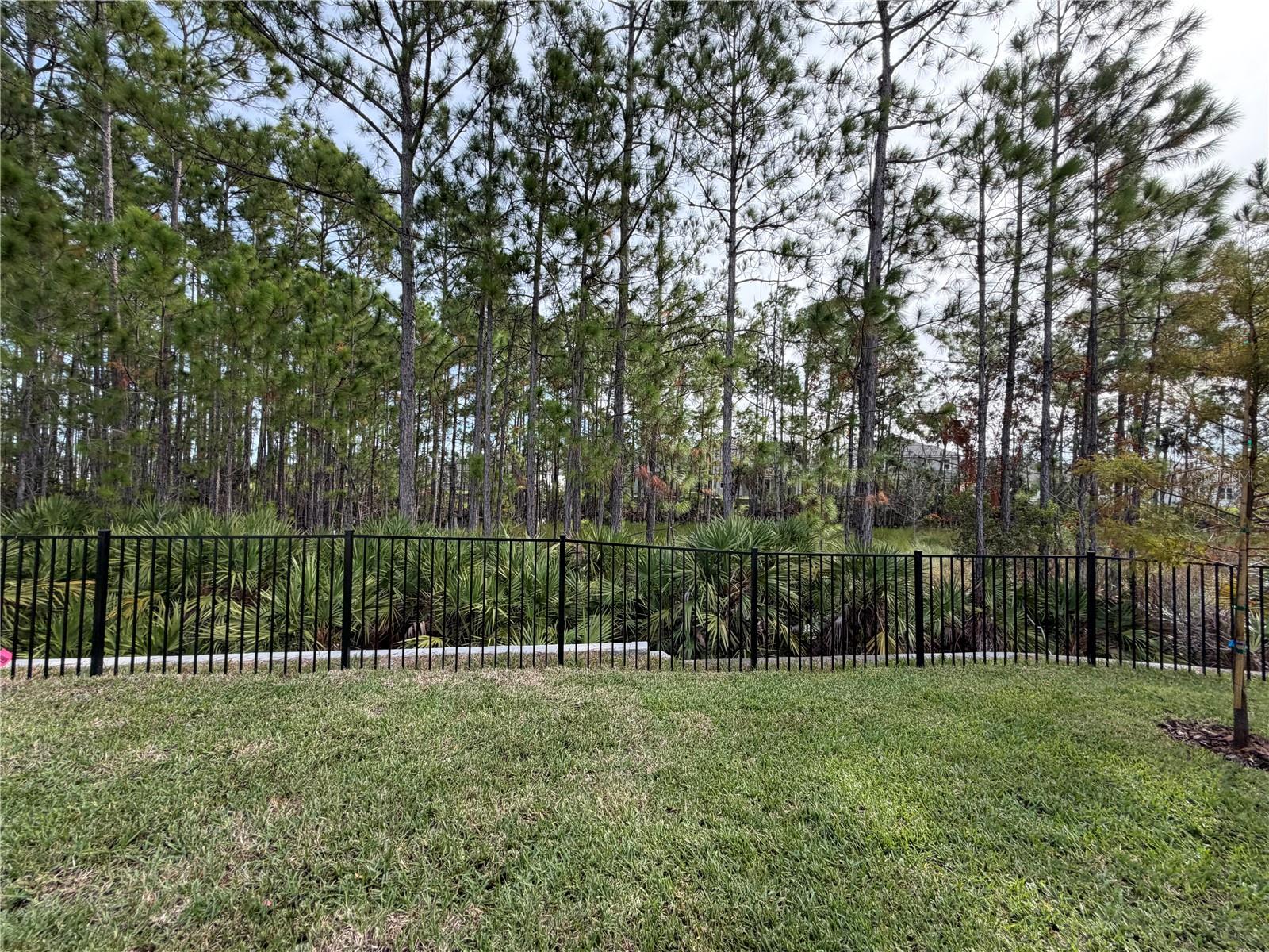 Image 33 of 36 For 42 Perseus Avenue