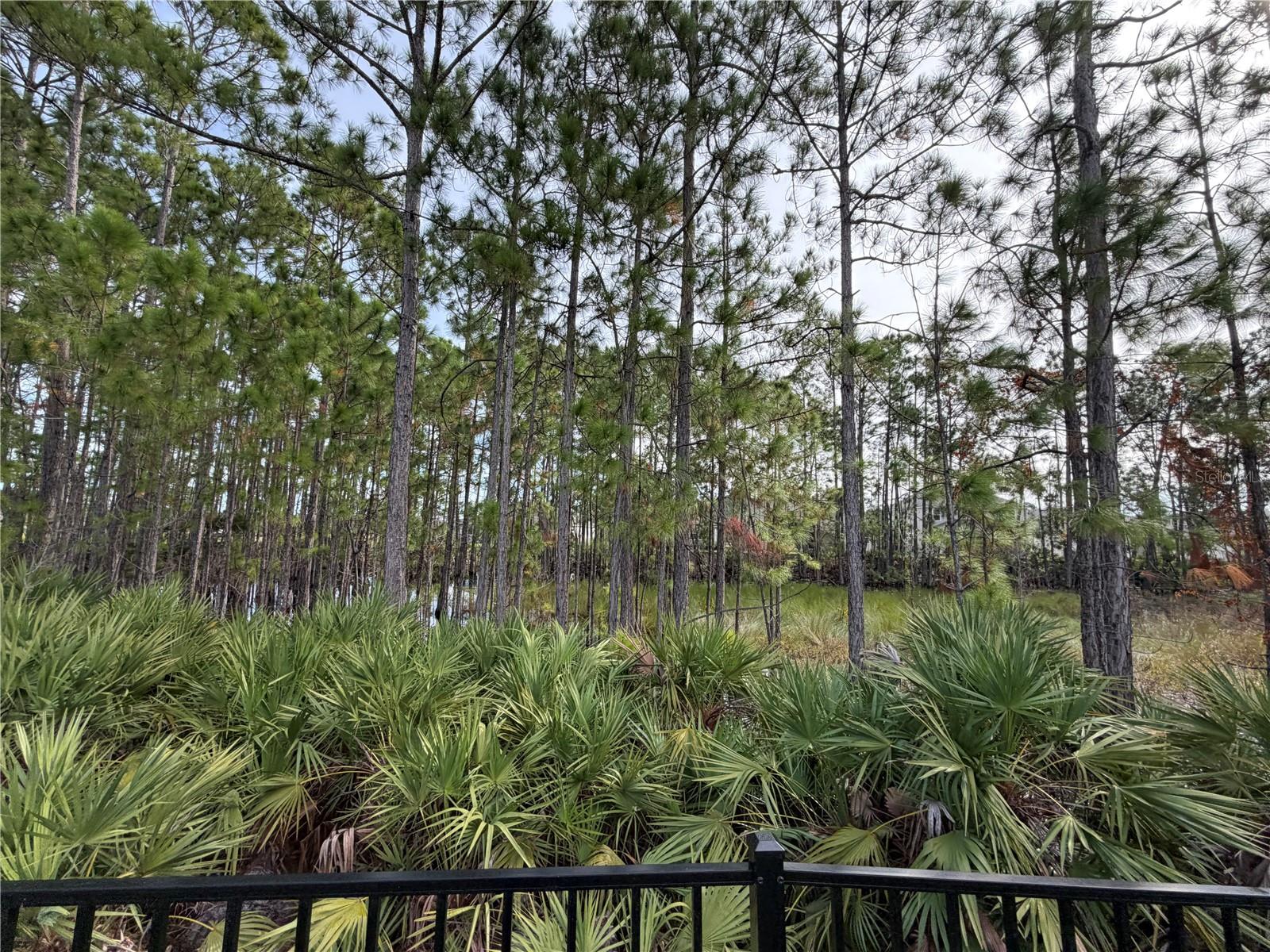 Image 34 of 36 For 42 Perseus Avenue