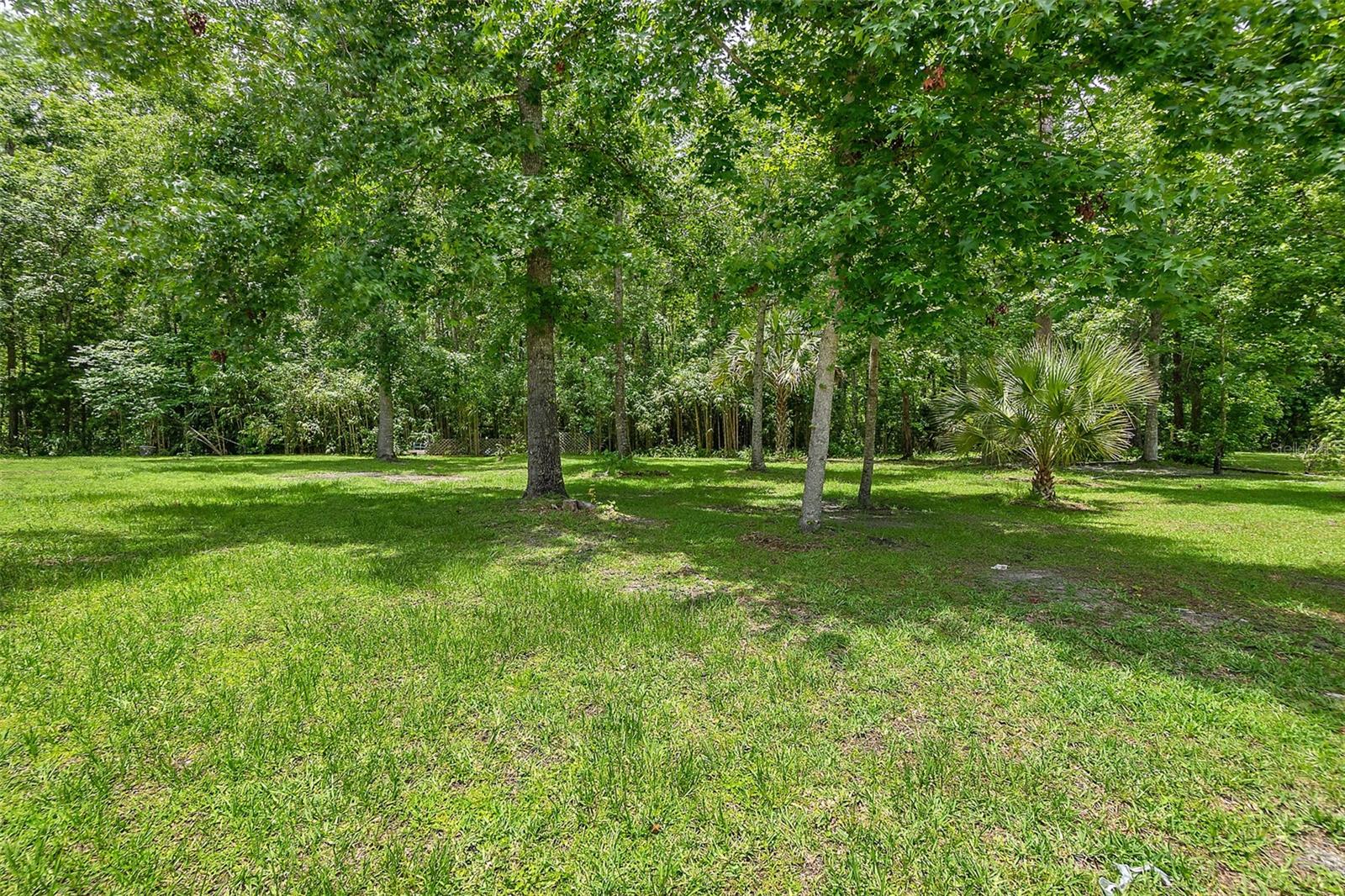 Image 2 of 12 For 9 Zeolite Place