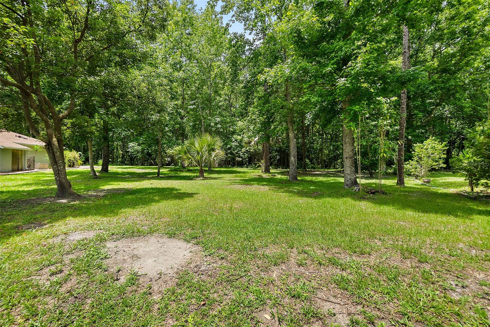 Image 3 of 12 For 9 Zeolite Place