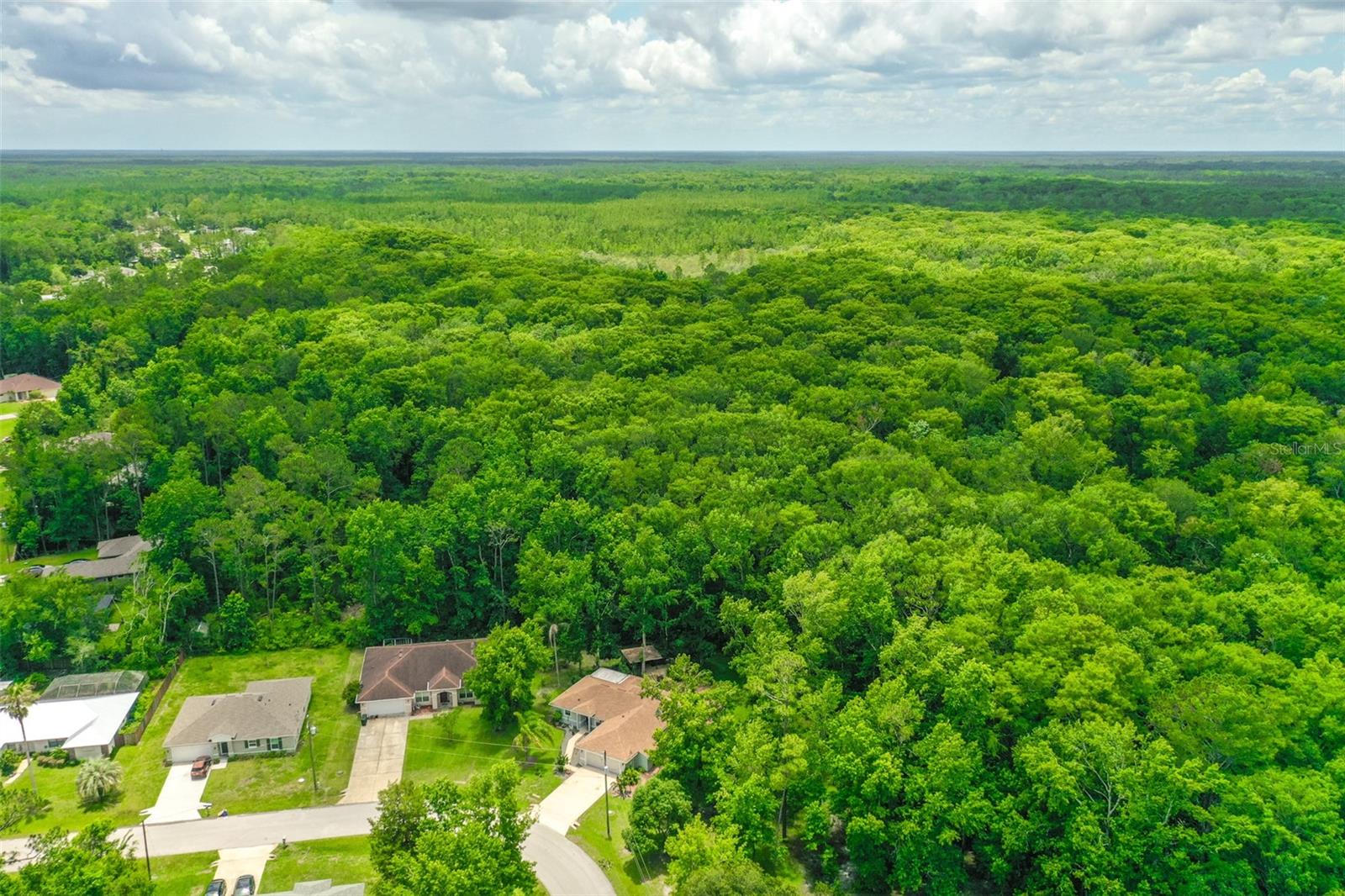 Image 5 of 12 For 9 Zeolite Place