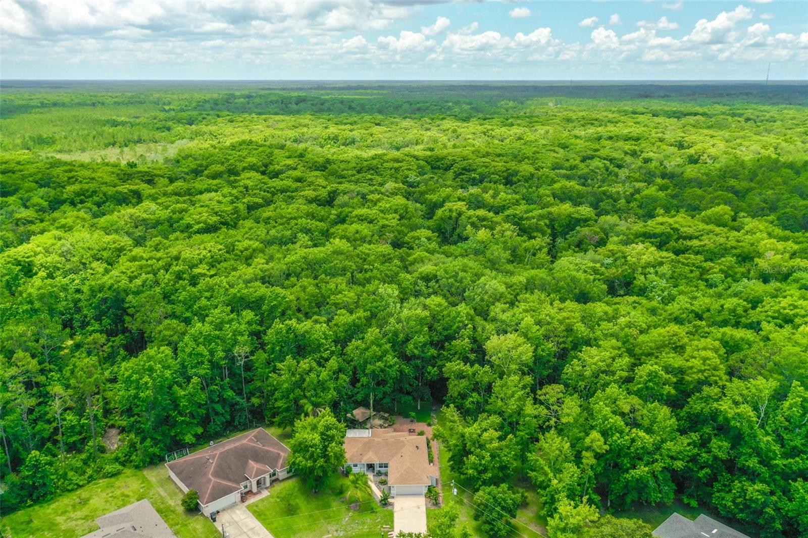 Image 6 of 12 For 9 Zeolite Place