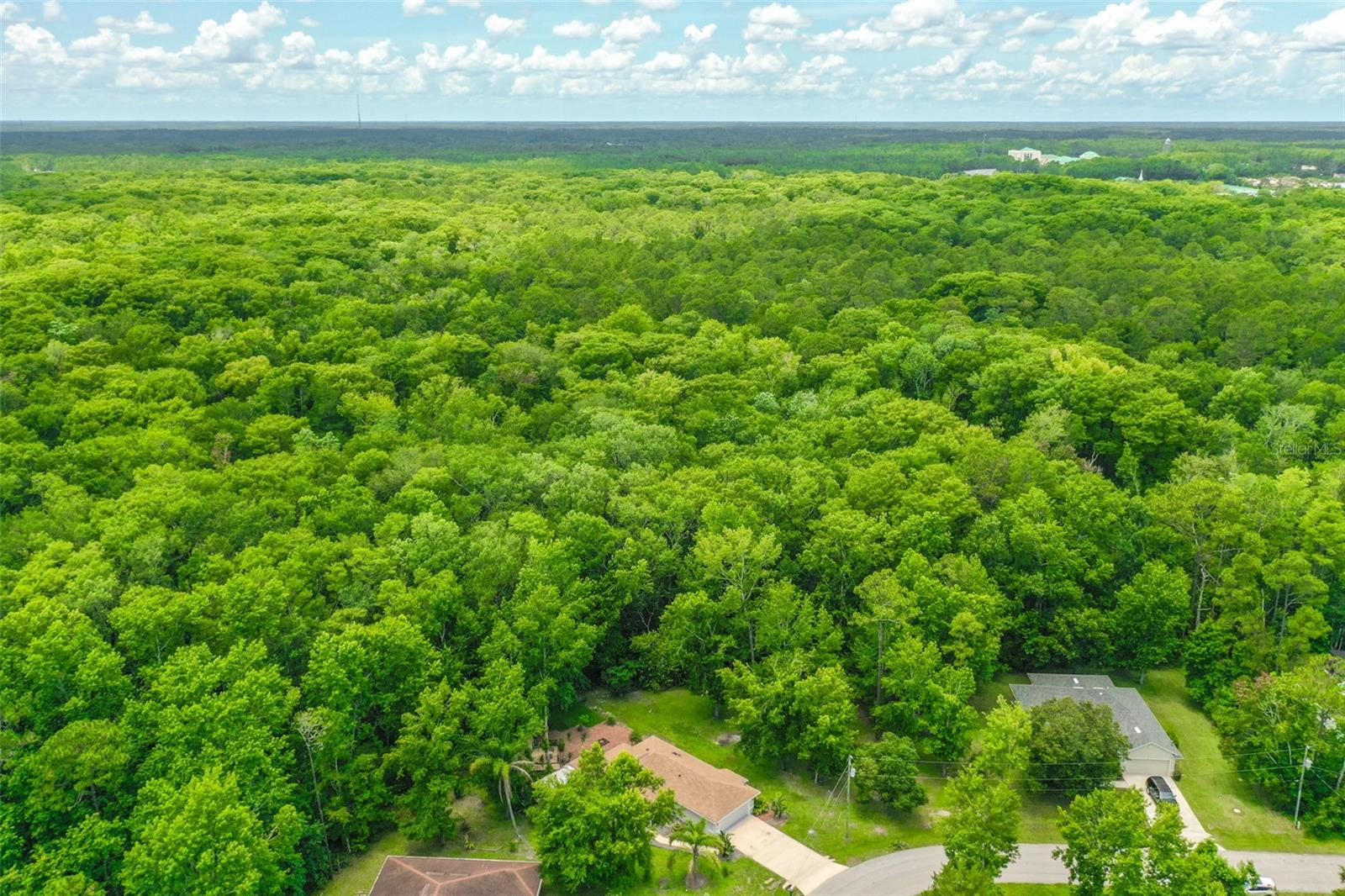 Image 7 of 12 For 9 Zeolite Place