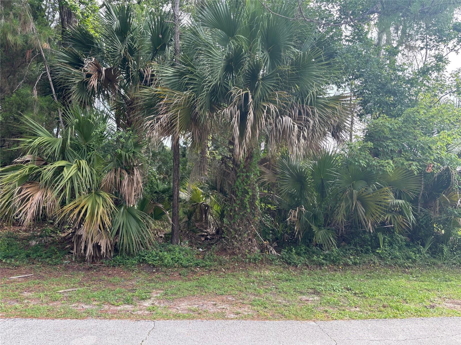 Image 2 of 5 For Address Not Provided