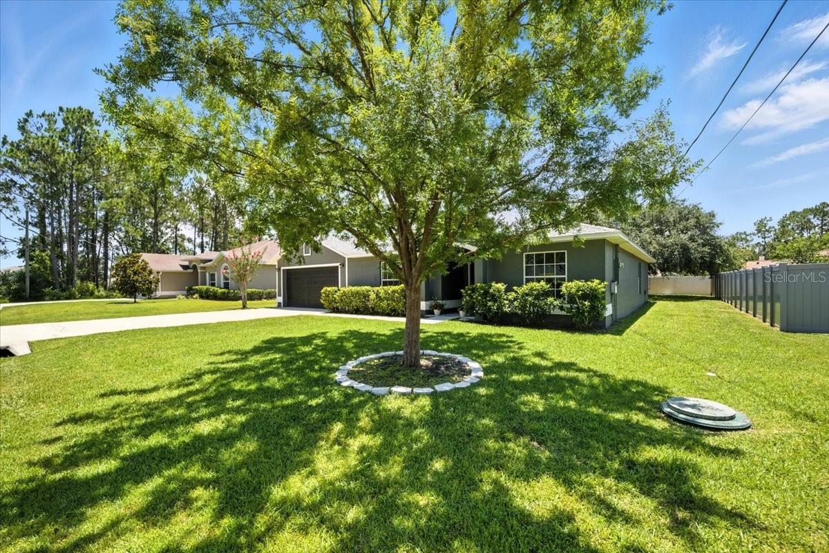 Image 4 of 34 For 37 Lindsay Drive