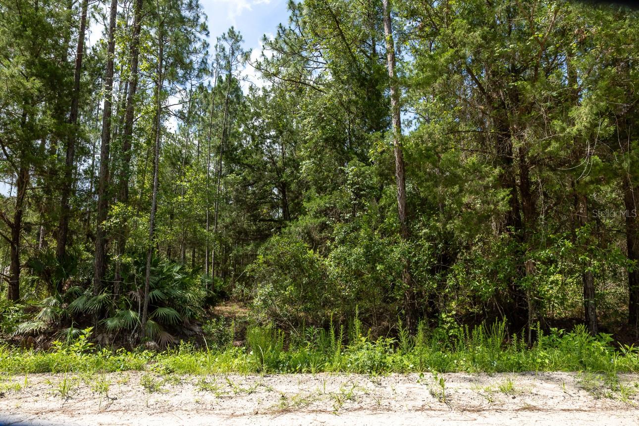 Details for 5661 Ironwood Avenue, BUNNELL, FL 32110