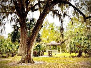 Image 7 of 9 For 314 Palm Coast Parkway Ne 204