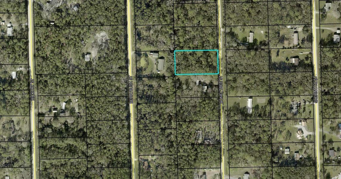 Details for 1230 Honeytree Street, BUNNELL, FL 32110