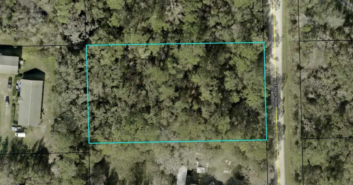 Image 2 of 2 For 1230 Honeytree Street