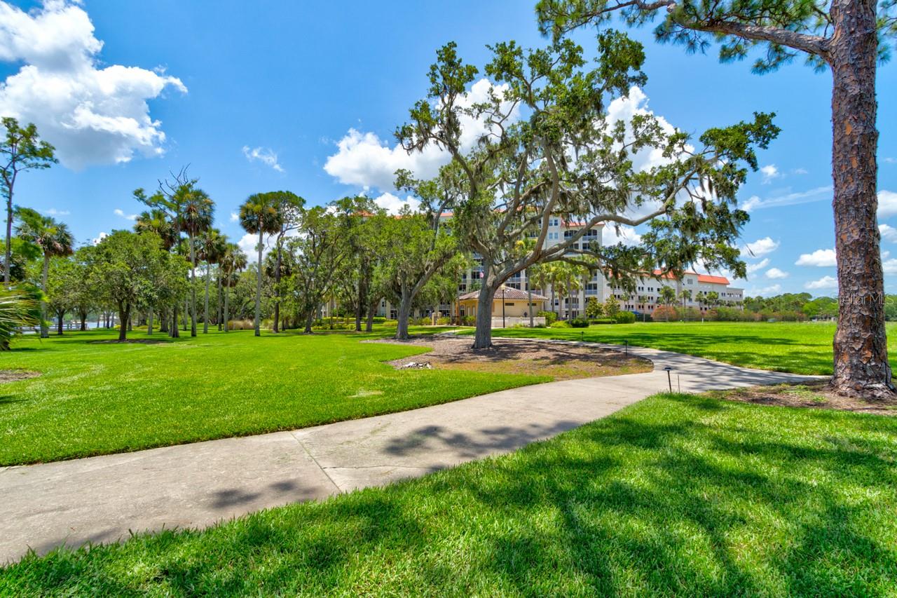 Image 45 of 51 For 146 Palm Coast Resort Boulevard 501