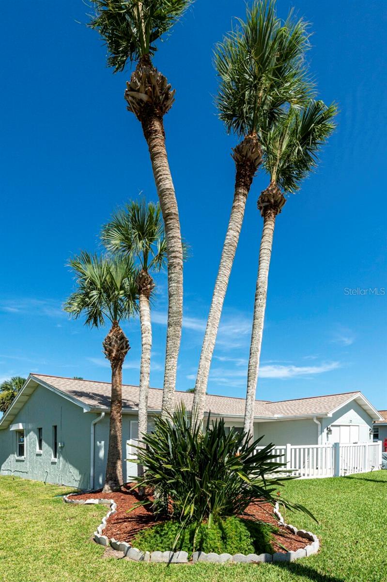Image 4 of 17 For 227 Ocean Palm Drive