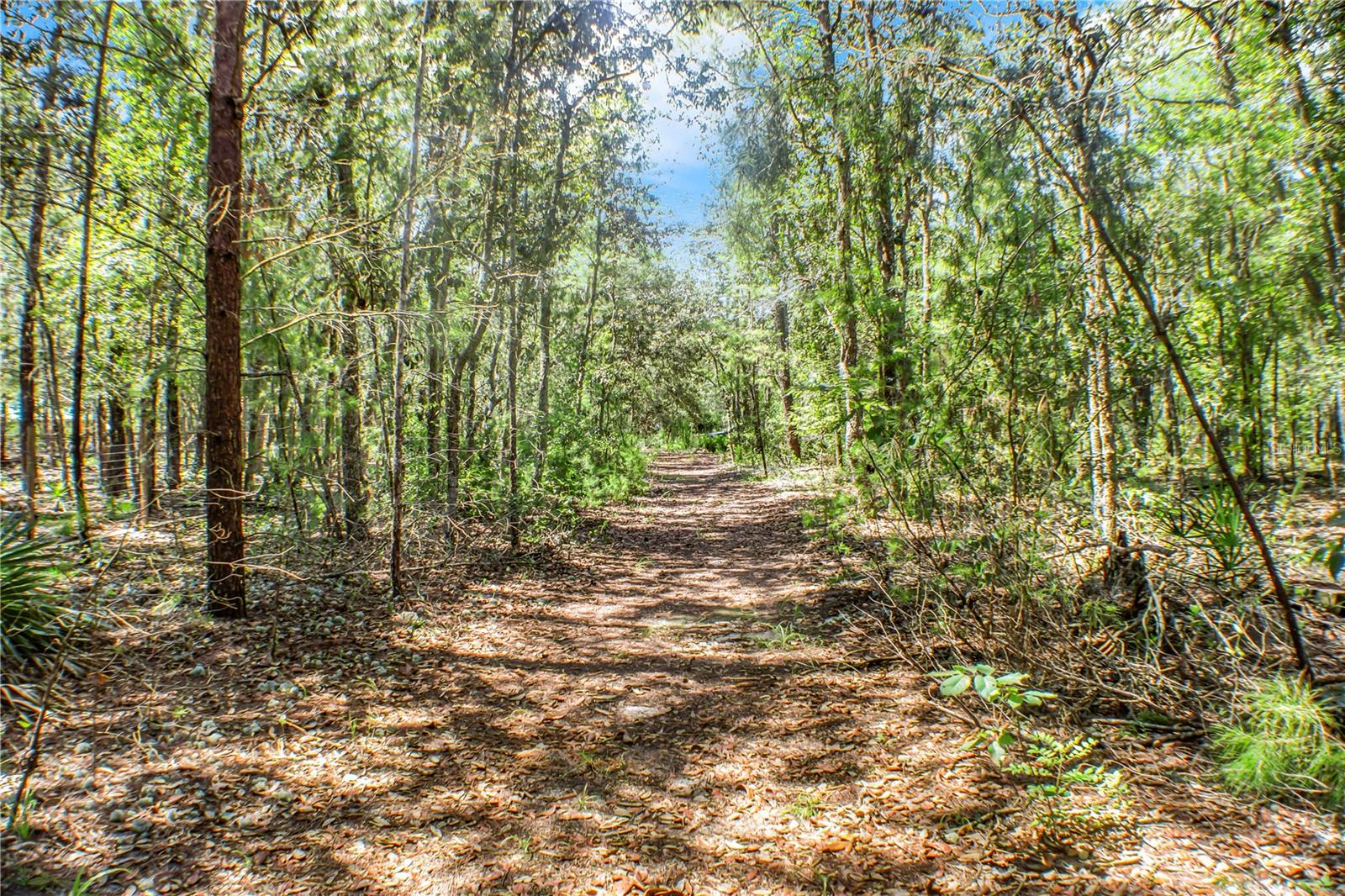 Details for 115 Coral Avenue, INTERLACHEN, FL 32148