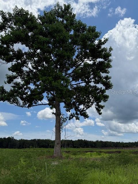 Image 11 of 23 For 594 County Road 90