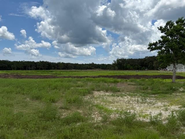 Image 17 of 23 For 594 County Road 90