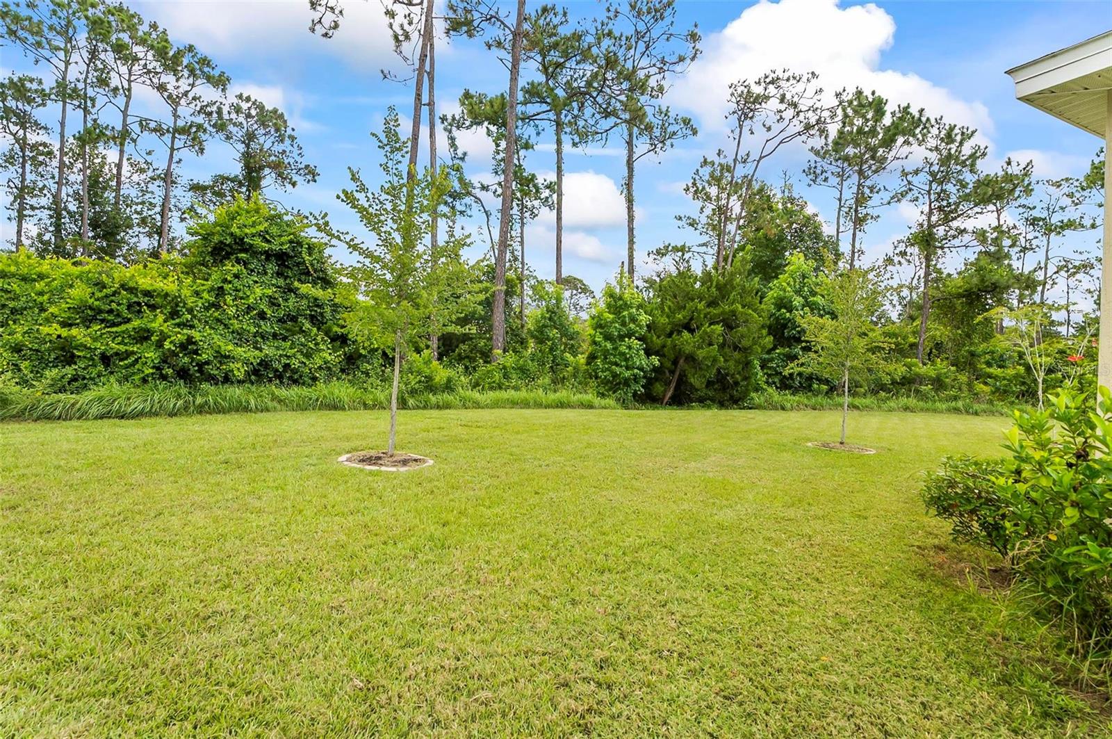 Image 61 of 65 For 9 Elder Place