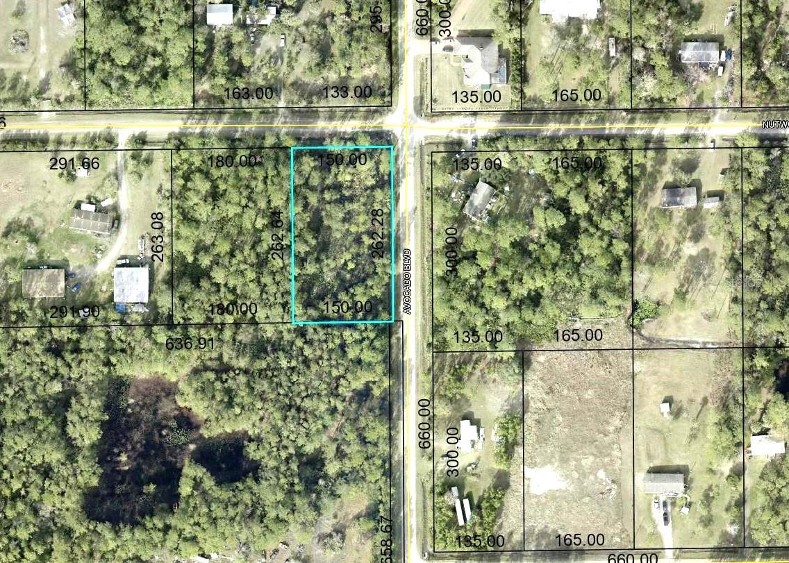 Details for 5958 Nutwood Avenue, BUNNELL, FL 32110