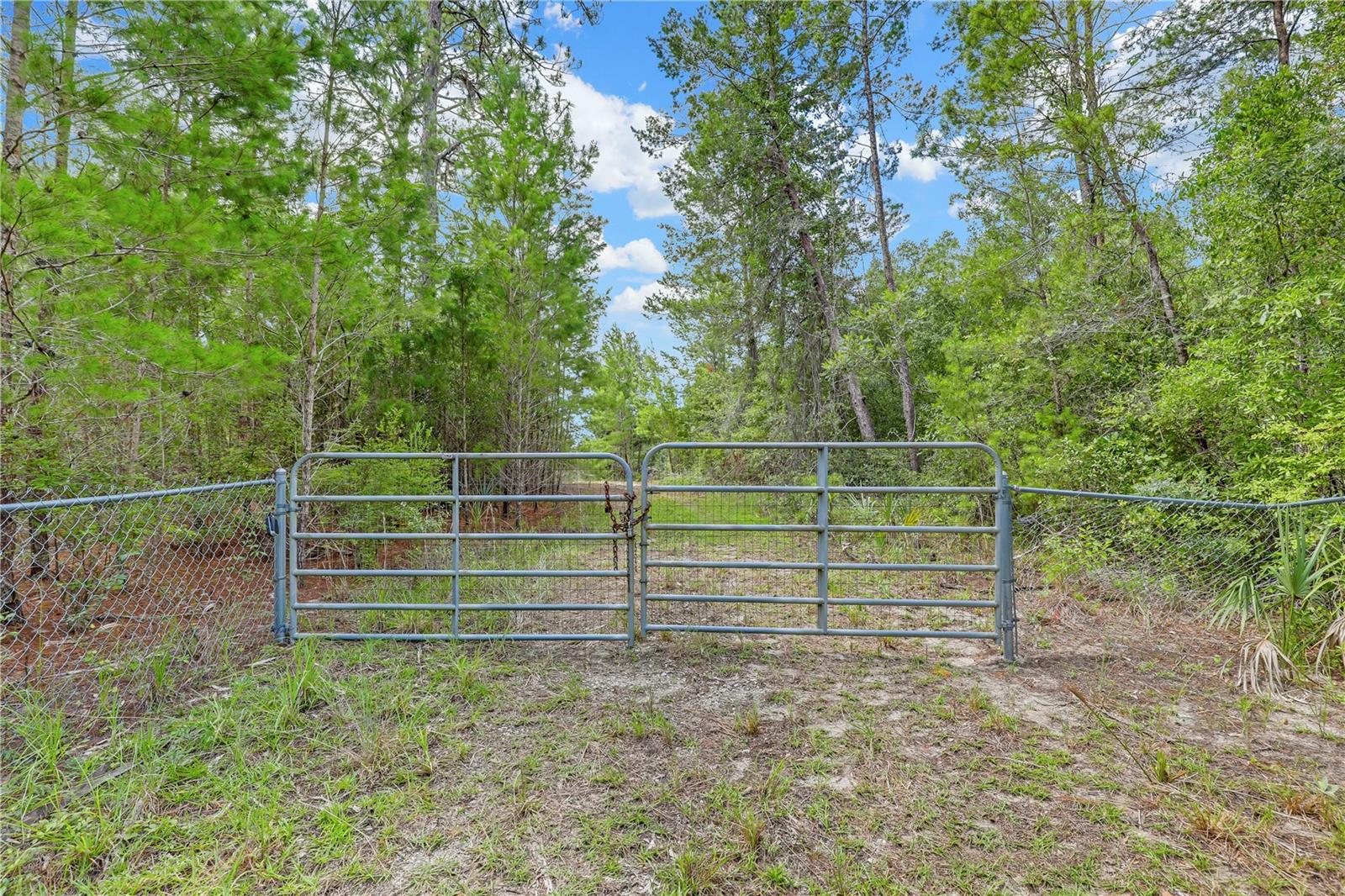 Image 34 of 42 For 113 Bent Oak Drive