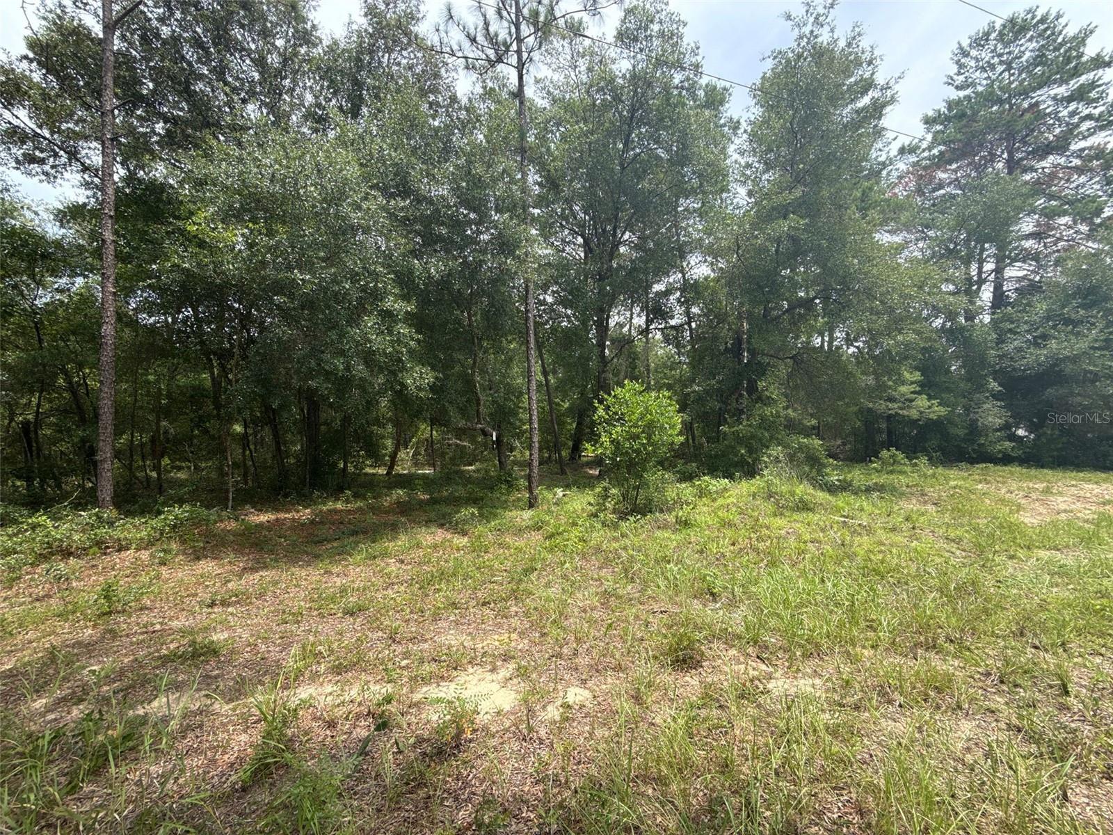 Image 5 of 10 For 140 Cherokee Drive