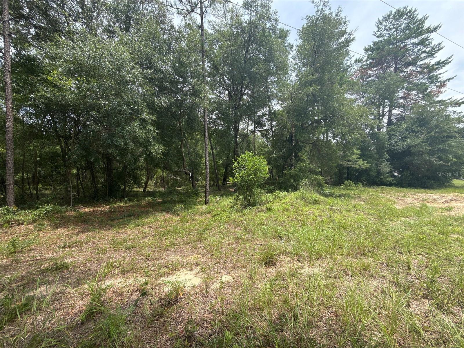 Image 6 of 10 For 140 Cherokee Drive