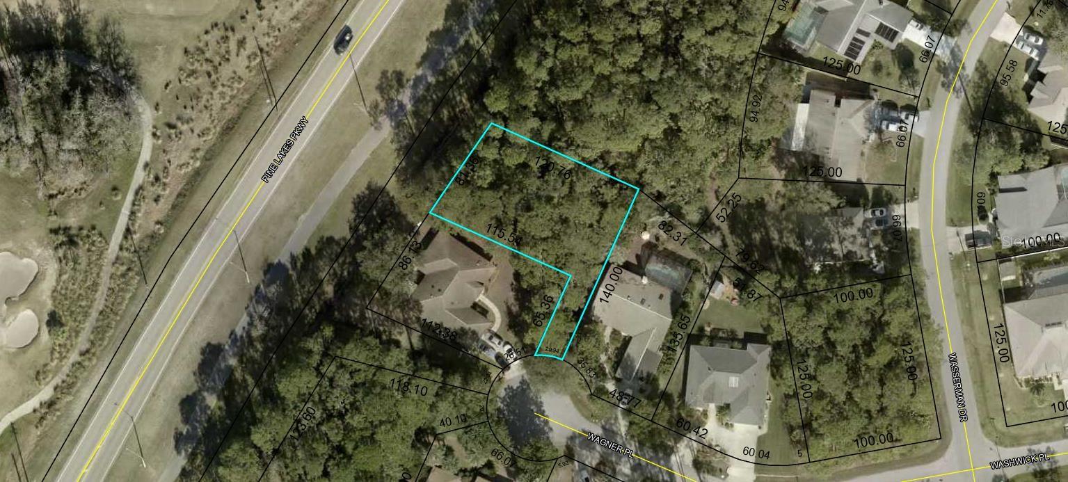 Listing Details for 8 Wagner Place, PALM COAST, FL 32164