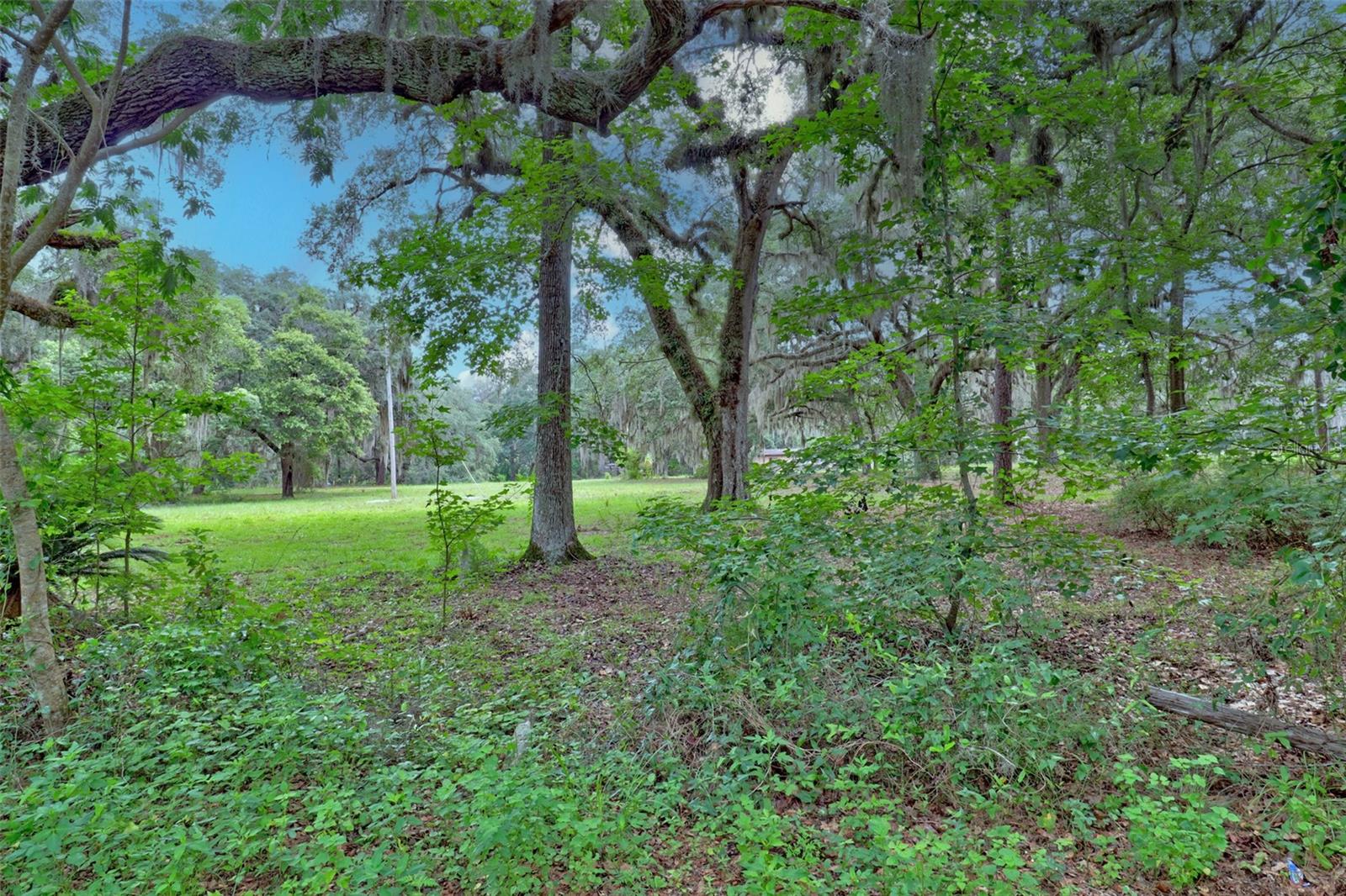 Image 12 of 16 For 202 Bostwick Cemetery Road 1